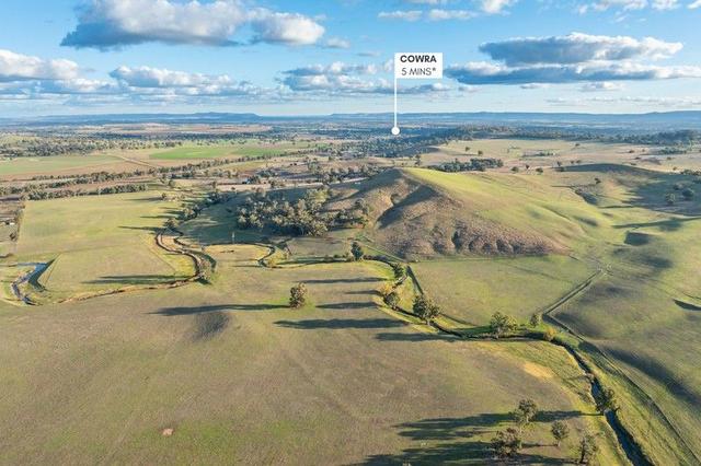 14 Packs Grant Road, NSW 2794