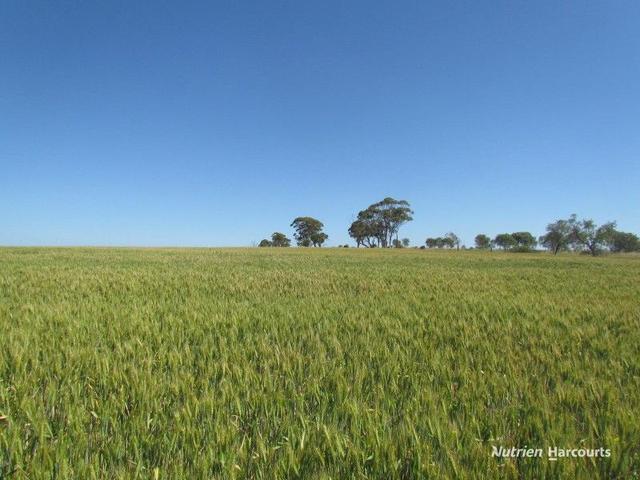 Lot 141 Billeroo Road, WA 6517