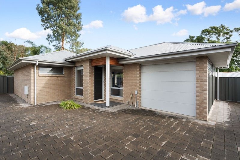 17B Fetlar Avenue, Marion SA 5043 Allhomes