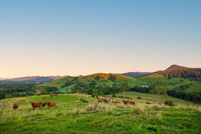 488 Commissioners Flat Road, QLD 4519