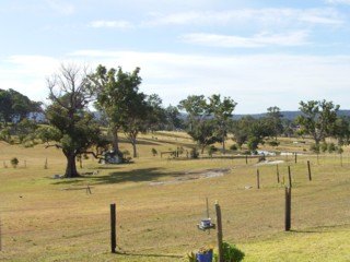 Land (2007-07-26)