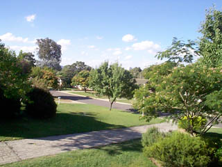 Front yard