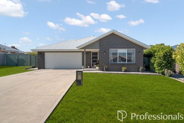 17 Lew Avenue, NSW 2795