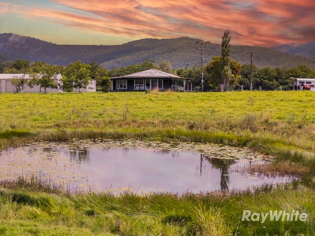 345 Markwell Back Road, NSW 2423