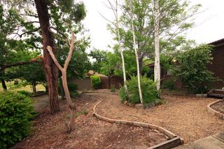 Frontyard (2010-12-10)