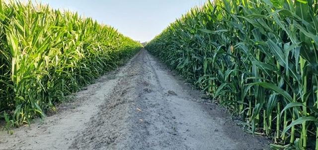 'Kalawar' 1822 Pretty Pine Road, NSW 2710