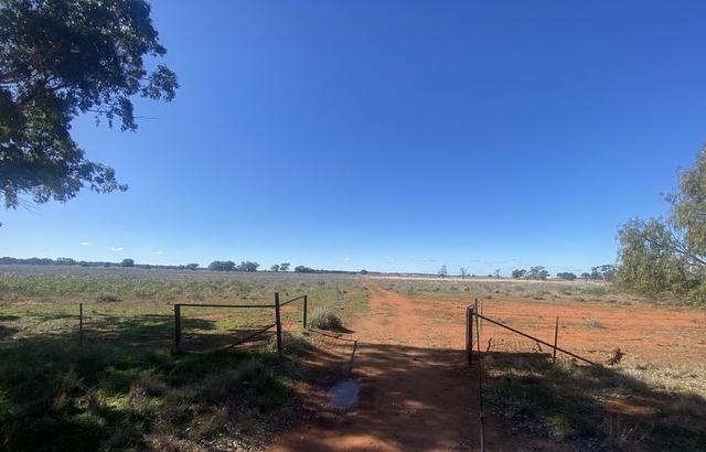 382 Jones Lane, NSW 2877