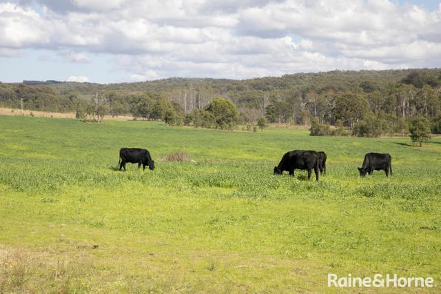 Lot 2, 2060 Brayton Road, NSW 2579
