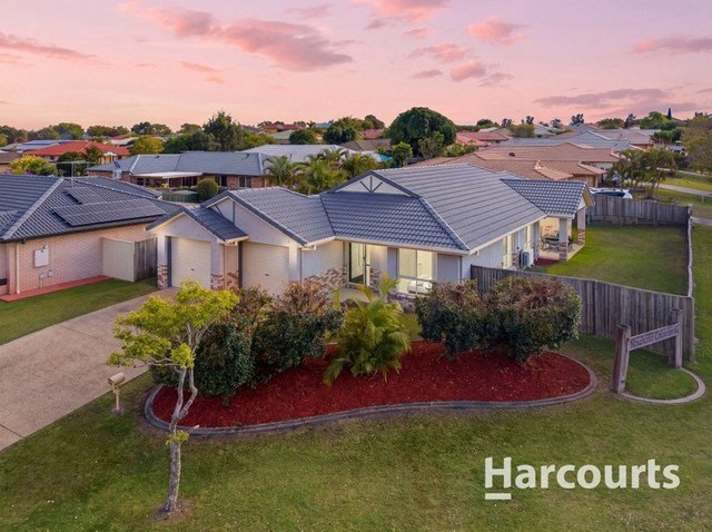 88 Daintree Drive, QLD 4115