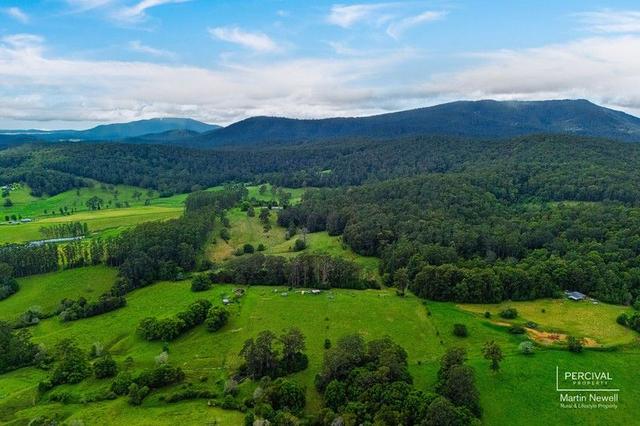 Lot 124 Neilson  Lane, NSW 2439
