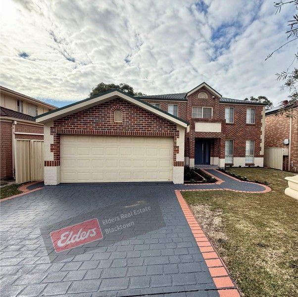 17 Tangerine Dr, NSW 2763