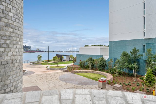 102/29 Honeysuckle Drive, NSW 2300