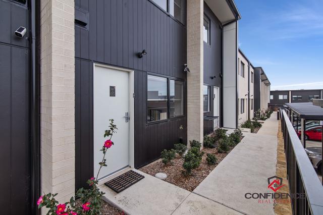 5/5 Devenish Street, ACT 2913