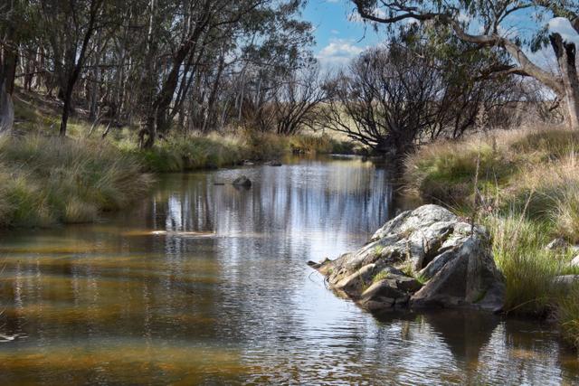 2625 Trunkey Road, NSW 2795