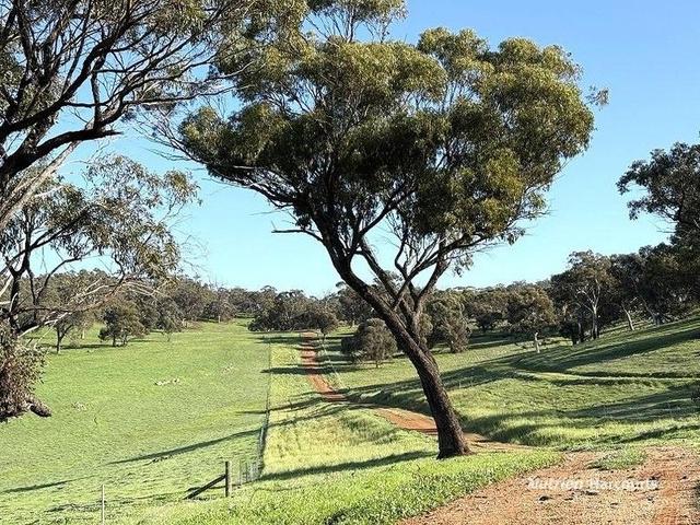 967 Northam-Toodyay Road, WA 6401