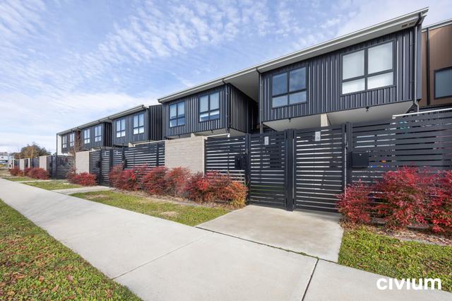 Allegro - 17 Dragon Street, ACT 2914