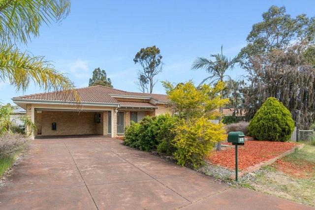 24 Newton Street, WA 6082