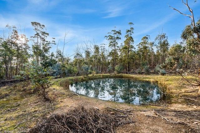 107 Inala Road, TAS 7173