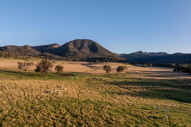 3 Killens Road, NSW 2849