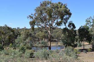 View to dam