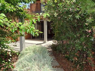 Back courtyard garden