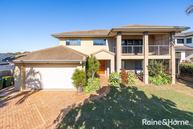 35 Attenborough Circuit, QLD 4165