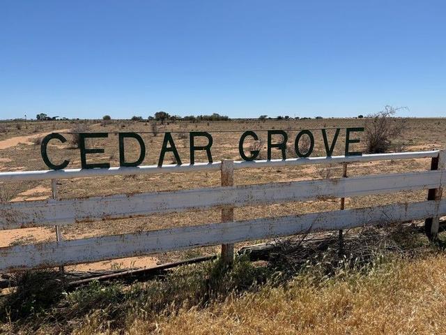 1169 Jerilderie Road, NSW 2711