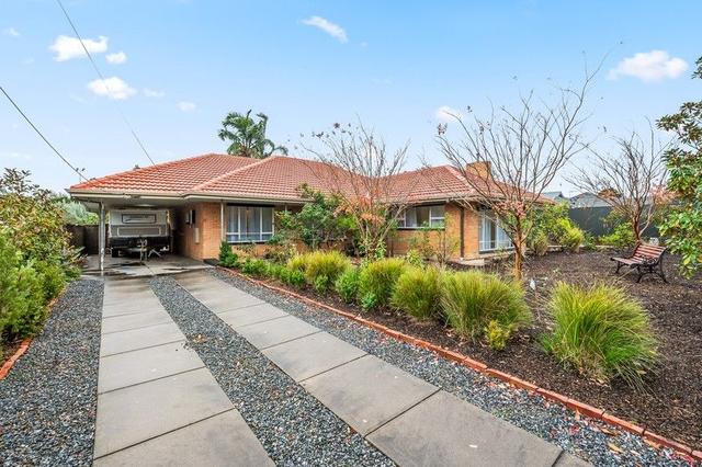 26 Adam Avenue, SA 5050