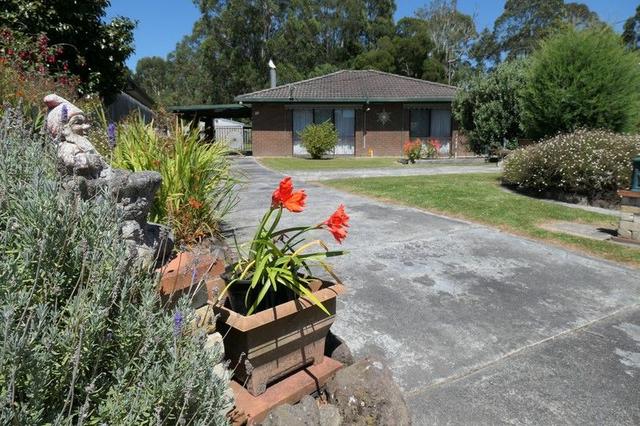 11 Apex Crt, VIC 3960