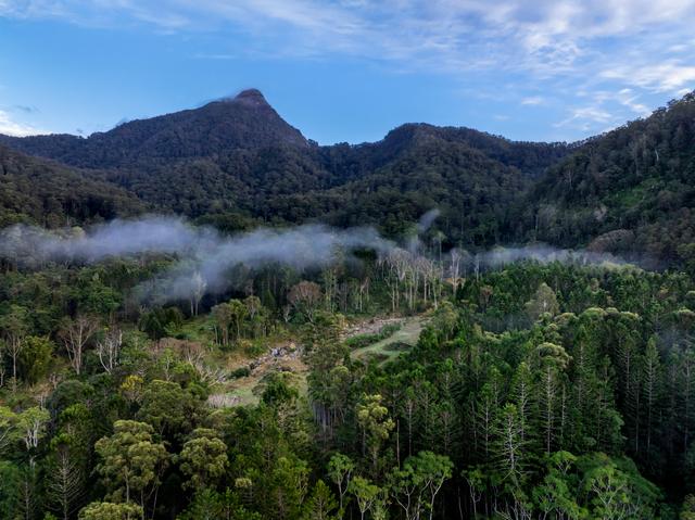 186 Palmers Road, NSW 2484