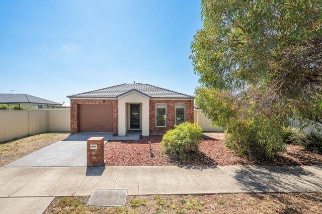 14 Hillsborough Avenue, VIC 3630