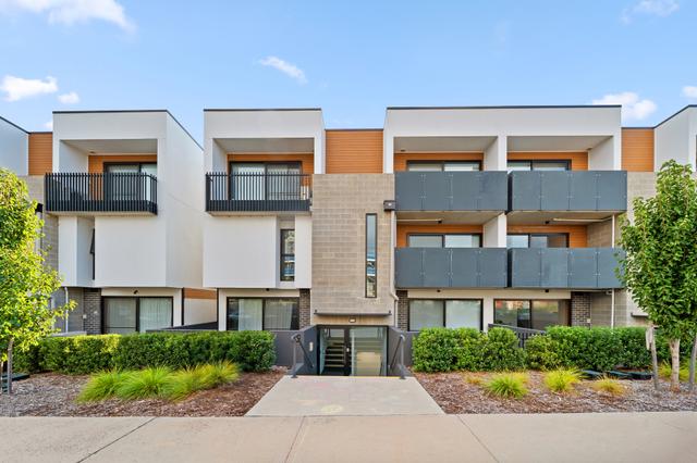 31/16 Alex Colley Crescent, ACT 2611