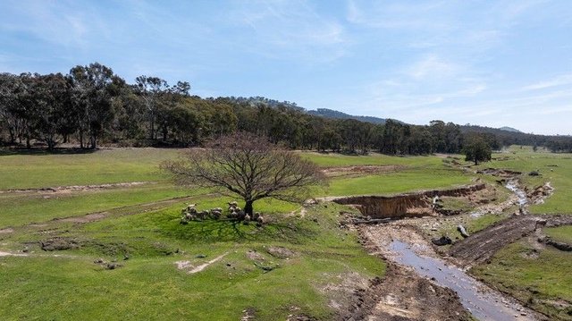 Lots 134 & 135, 82 Windgraves Road, NSW 2850