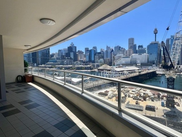 50 Murray Street, NSW 2009