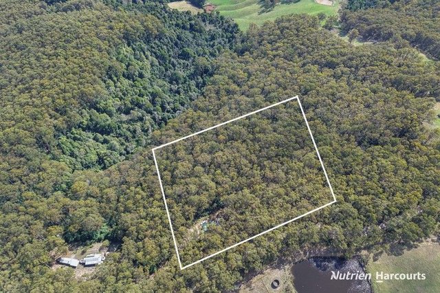 565 Hedley Range Road, VIC 3966