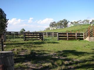 Cattle Yards