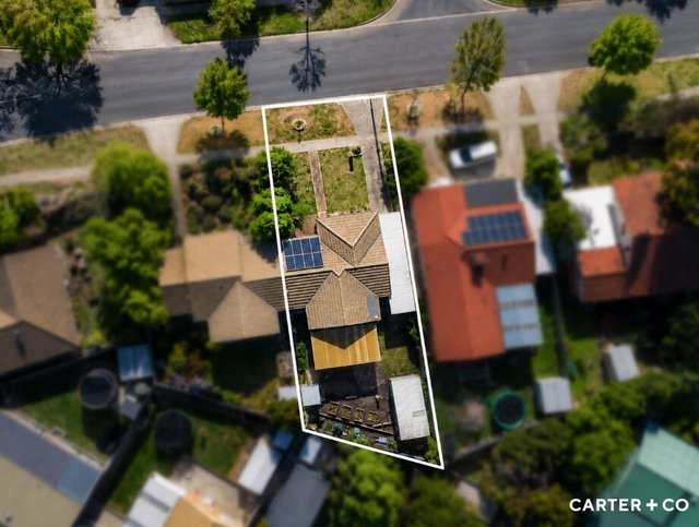 20 Newlop Street, ACT 2913