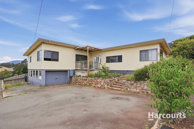 16 Ringarooma Road, TAS 7260