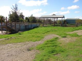 YARDS & HAY SHED