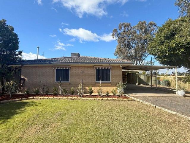 400 Chester Street, NSW 2400