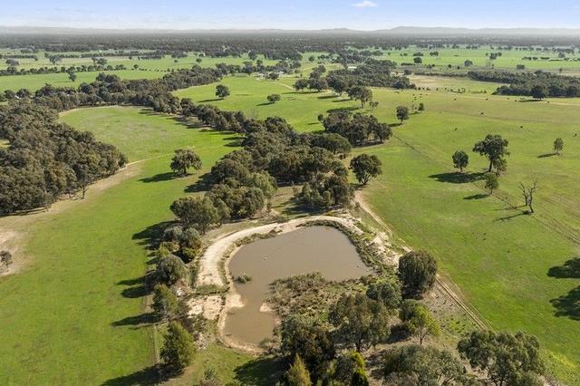 Springdale Road, VIC 3678