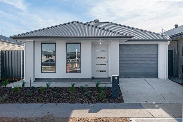 9 Nadine Street, SA 5115