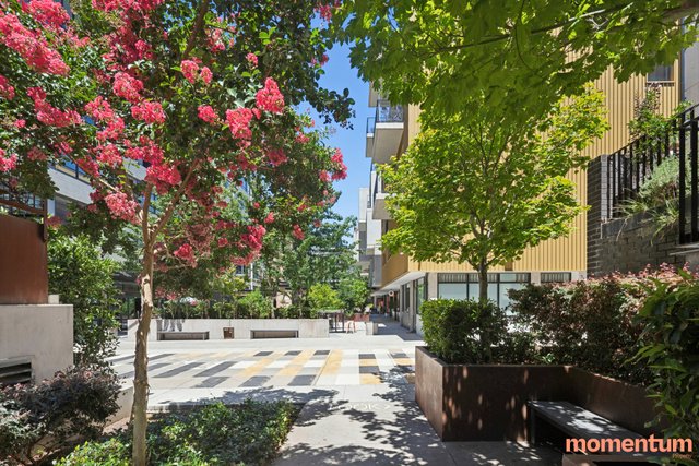 7/10 Parbery Street, ACT 2604
