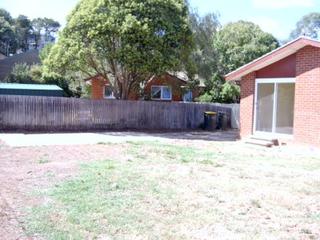 Backyard (2006-03-02)