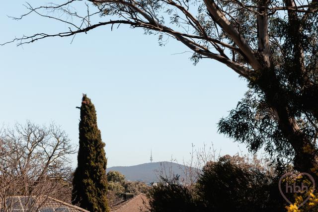 3 Richards Street, ACT 2602