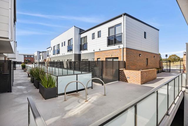 7/33 Braybrooke Street, ACT 2617