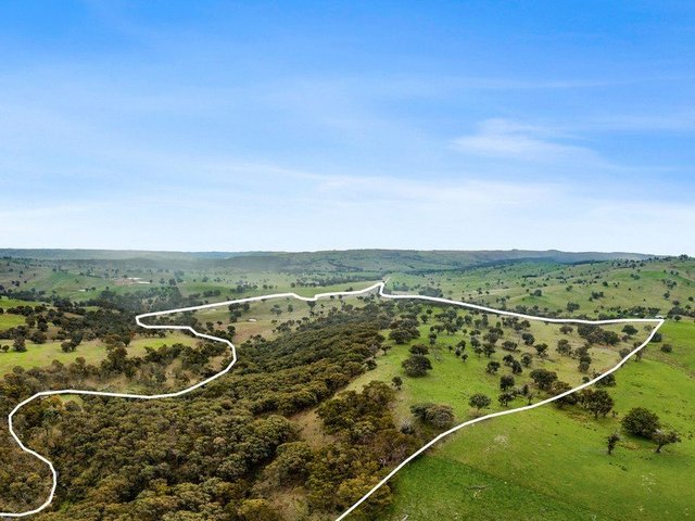 270 Mulgowrie Road, Crooked Corner, NSW 2583