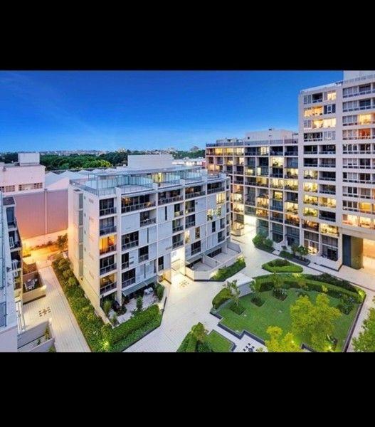 303/8 Lachlan Street, NSW 2017