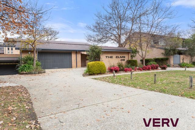 10/36 Gosse Street, ACT 2604