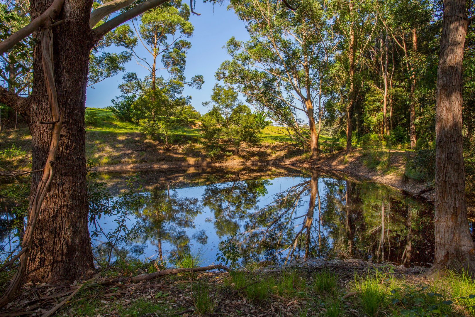 1110 Illaroo Road, Tapitallee NSW 2540 Allhomes